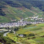 Blick vom Calmont auf Neef &copy; P. Scherer, Zell